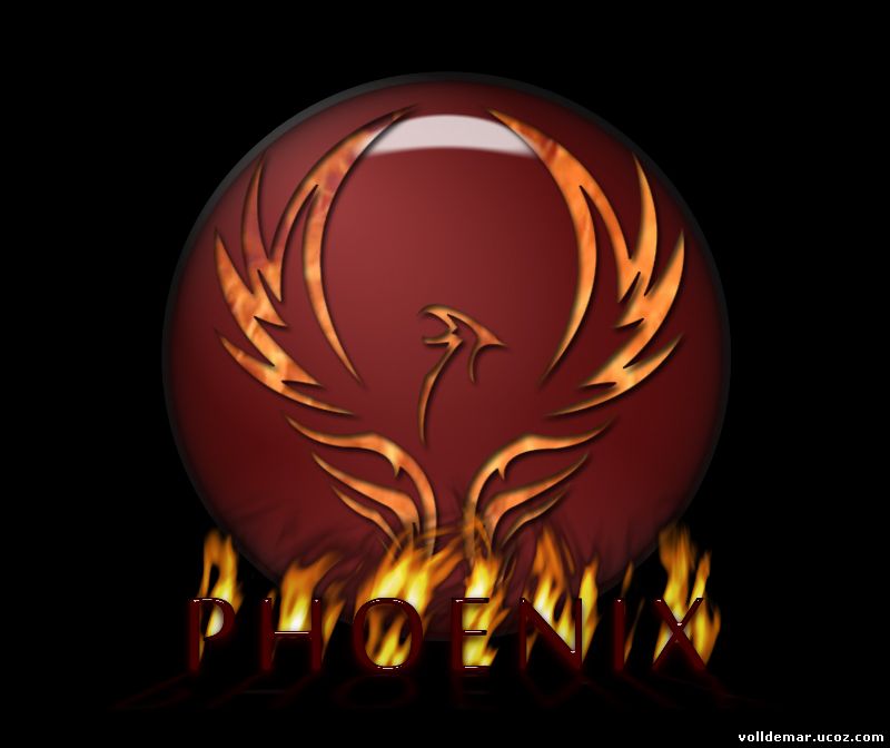 phoenix viewer go to coordinates